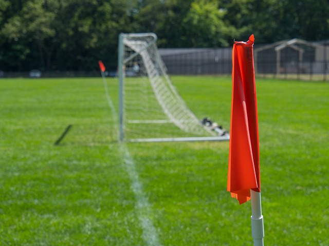 反响热烈 反响热烈