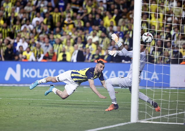 她再次用坚 她再次用坚