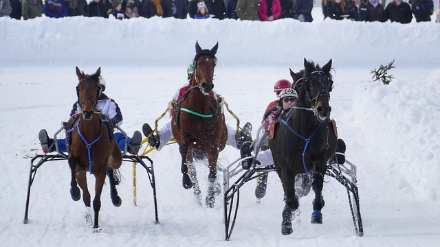 非亞馬爾獨 非亞馬爾獨