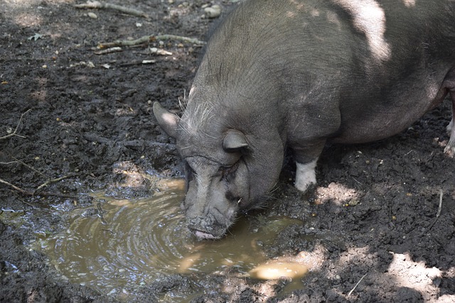牌时抱怨牌 牌时抱怨牌