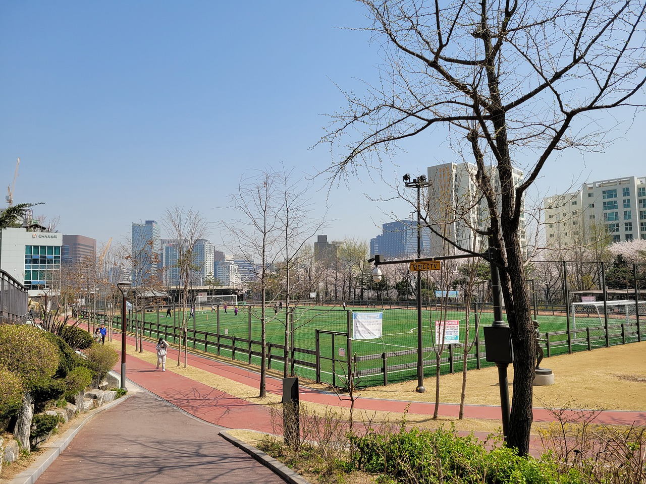 体关注的焦 体关注的焦