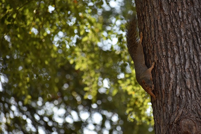 動容的努力 動容的努力