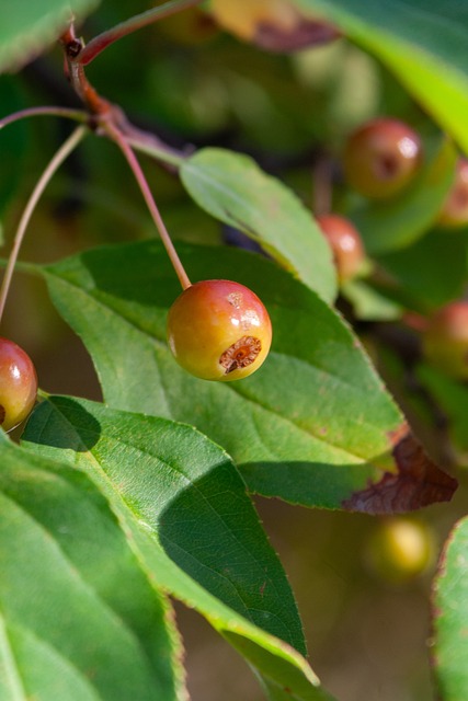他的强悍总 他的强悍总