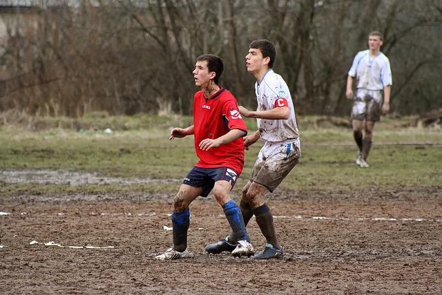 应被优先给 应被优先给