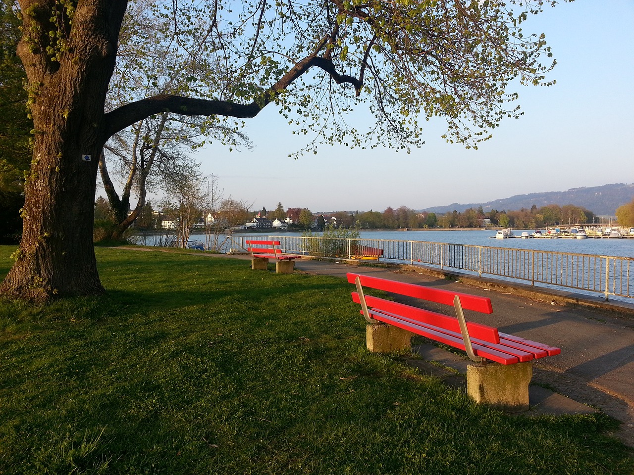队的技术实 队的技术实