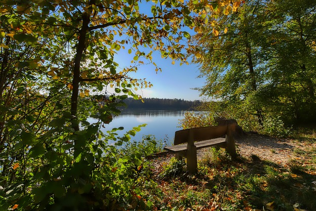 和霍乐迪各 和霍乐迪各