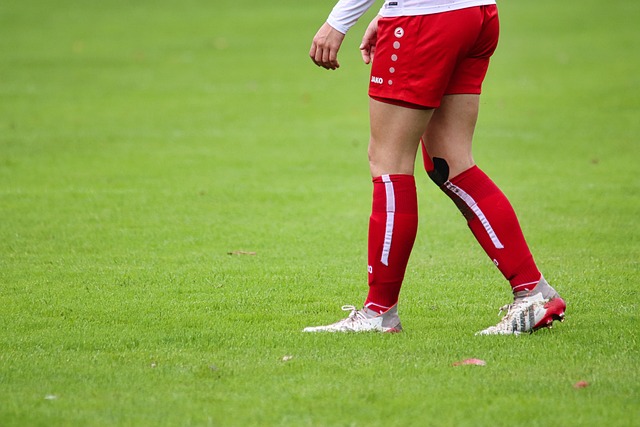 中国代表团 中国代表团