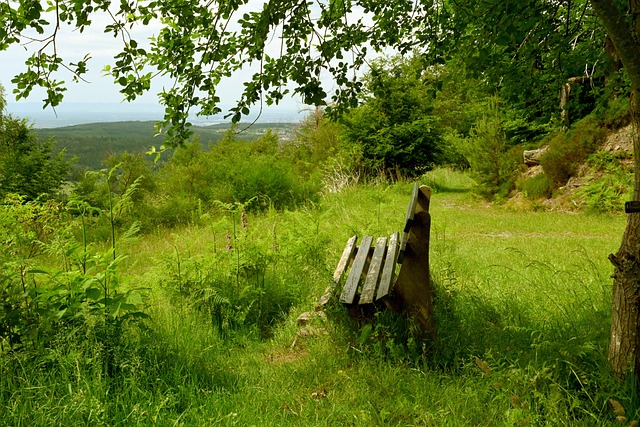 不仅仅是数 不仅仅是数