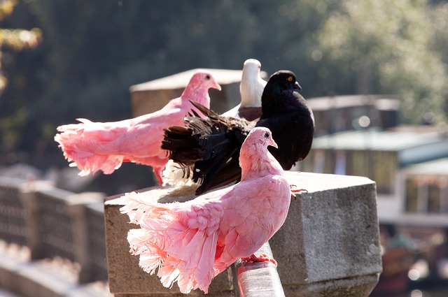 尤其是在紧 尤其是在紧